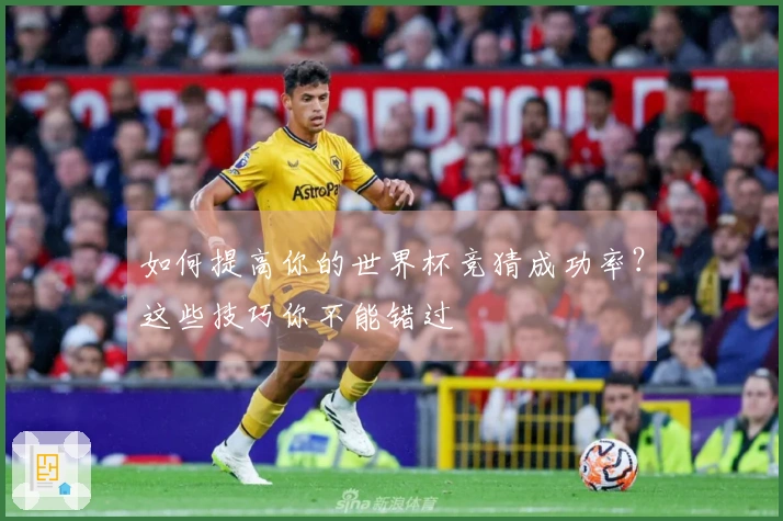 如何提高你的世界杯竞猜成功率？这些技巧你不能错过