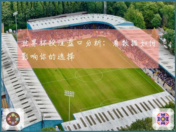 世界杯投注盘口分析：看数据如何影响你的选择