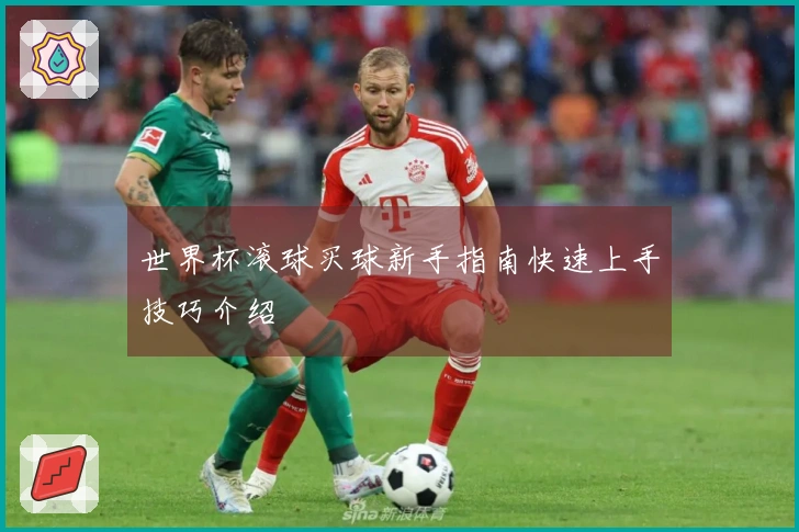 世界杯滚球买球新手指南快速上手技巧介绍