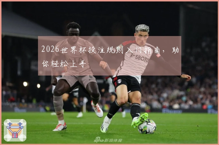 2026世界杯投注规则入门指南，助你轻松上手