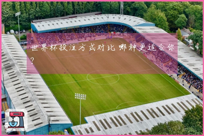 世界杯投注方式对比 哪种更适合你？