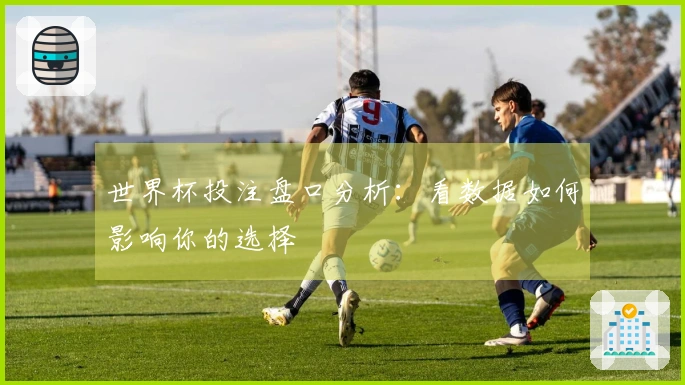 世界杯投注盘口分析：看数据如何影响你的选择