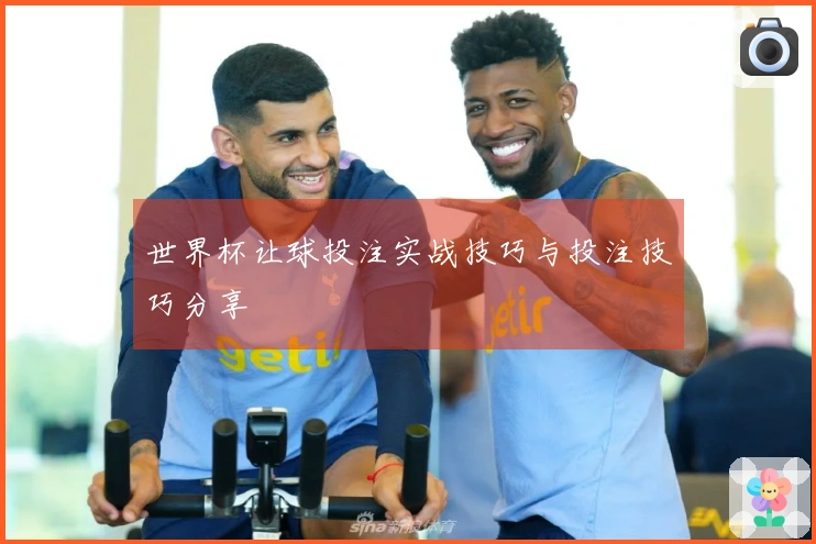 世界杯让球投注实战技巧与投注技巧分享