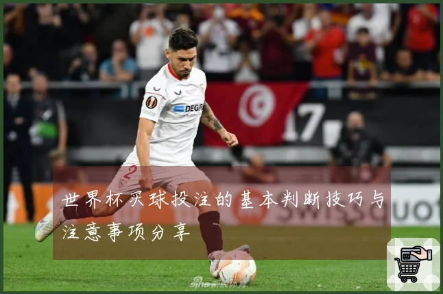 世界杯买球投注的基本判断技巧与注意事项分享